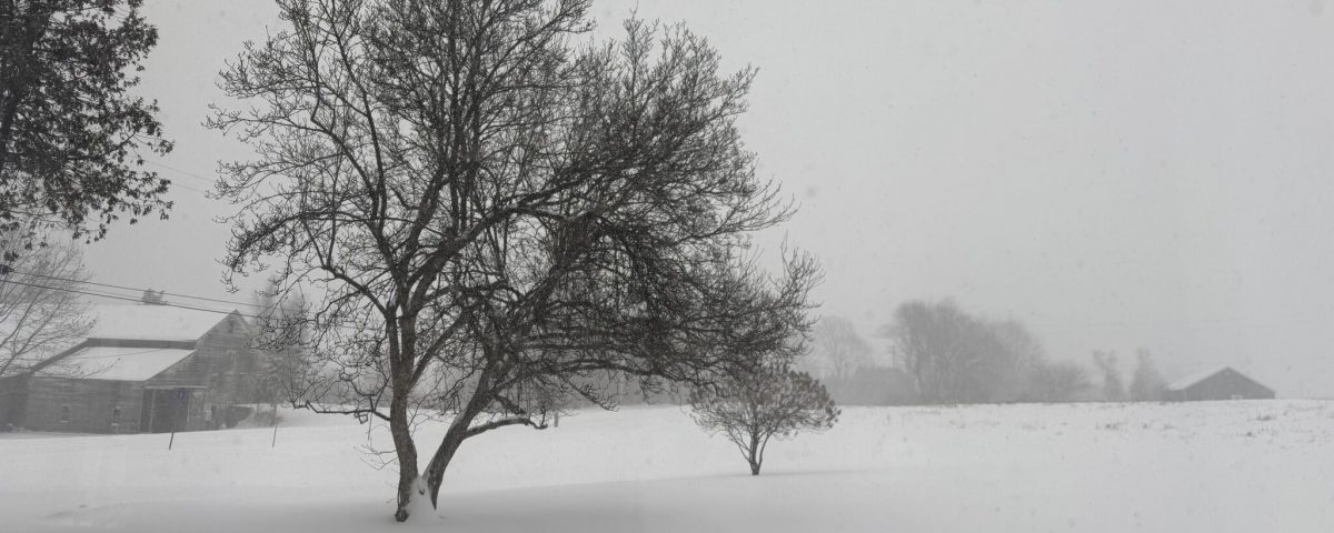 Snow storm