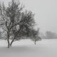 Snow storm