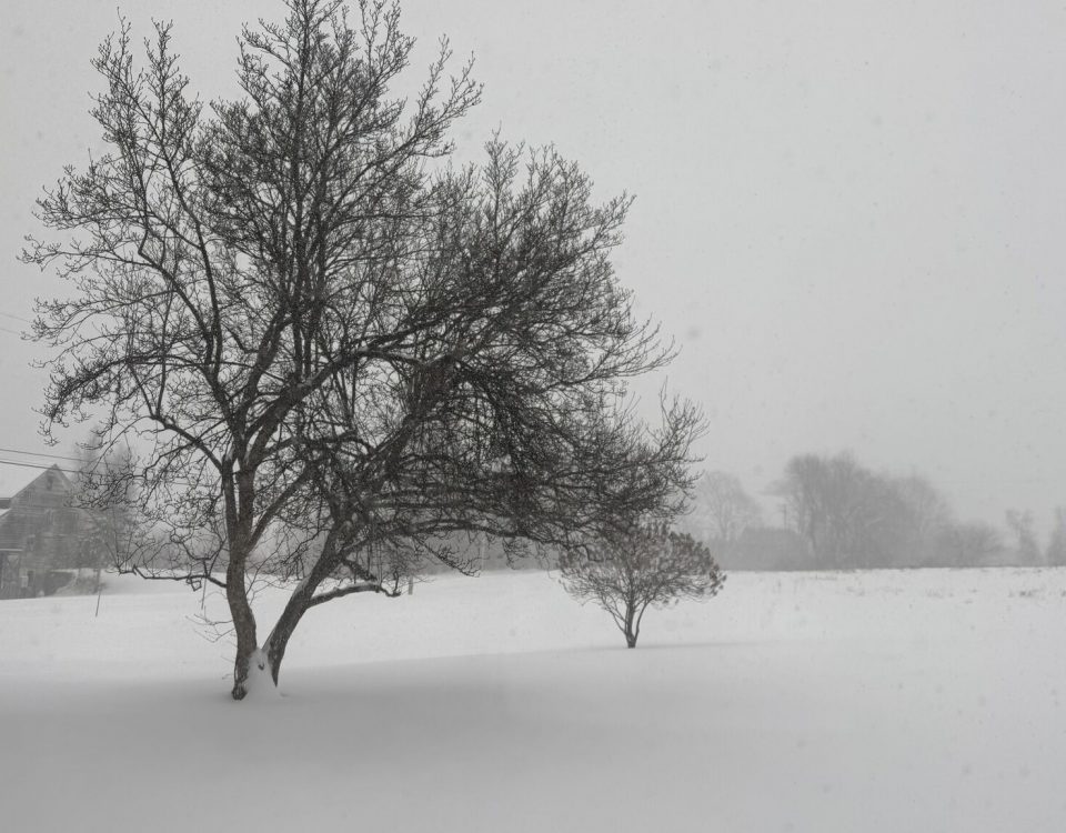 Snow storm